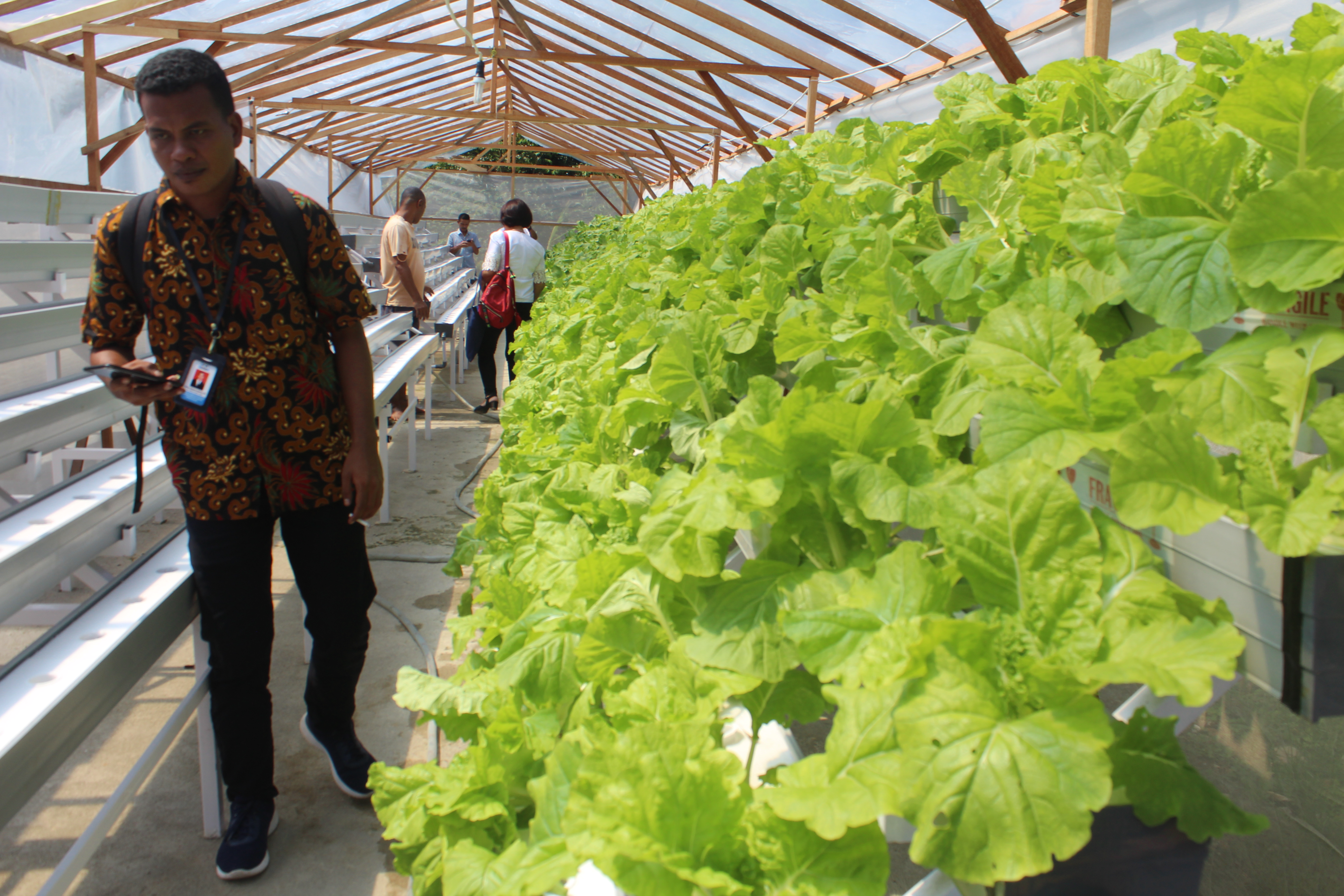 Bantuan Sarana Usaha Hidroponik Kelompok Biherta (RT.002-RW.02 Elion Seliomine) Tahun 2019