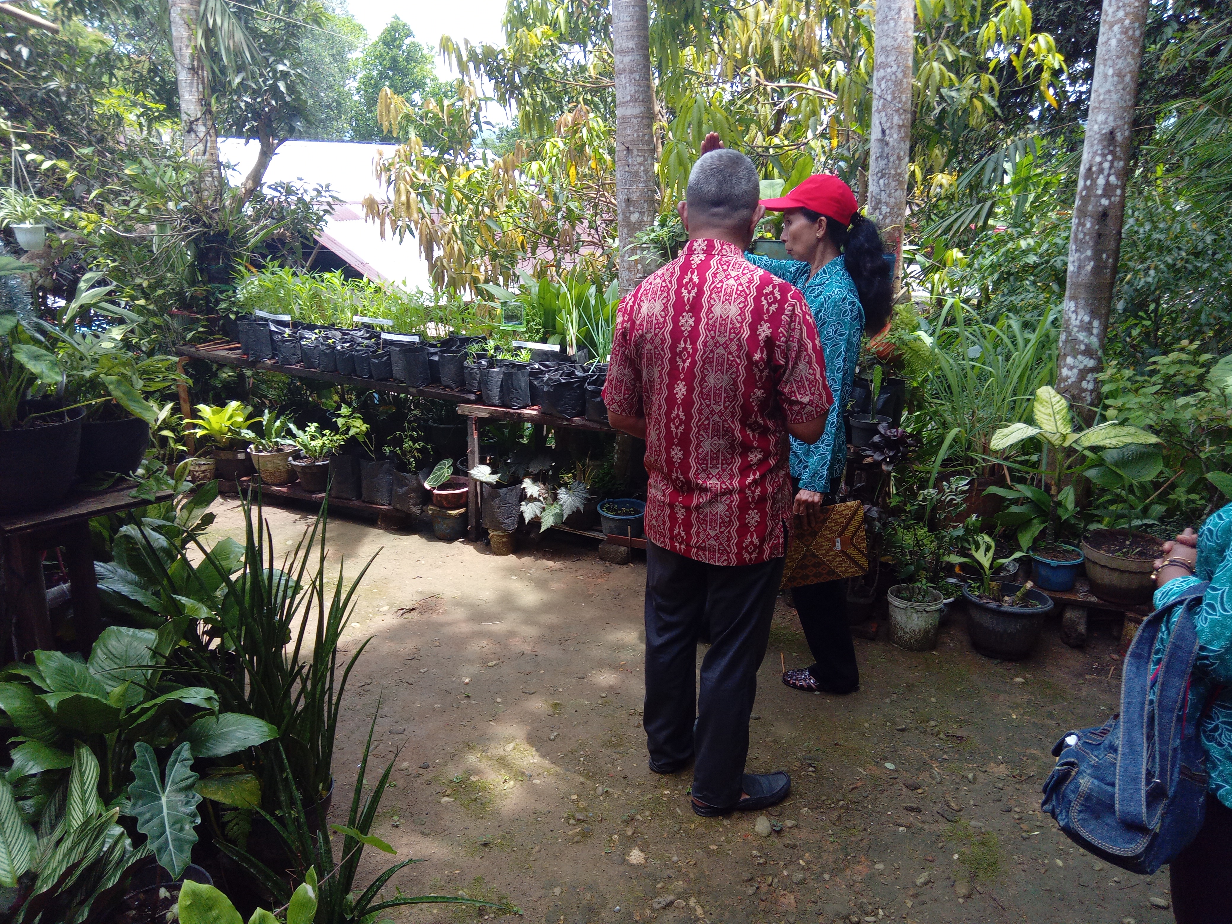 Lomba Dasa Wisma Pemanfaatan Pearangan